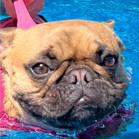 Meet your Posher, Bridge - Picture 1 of 1